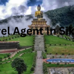 Travel Agent In Sikkim