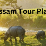 Assam Tour Plan