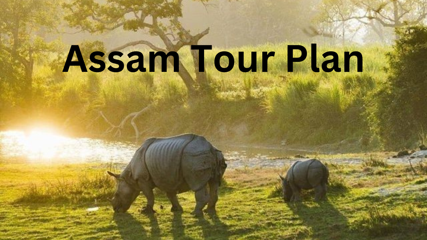 Assam Tour Plan