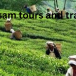 Assam tours and travel