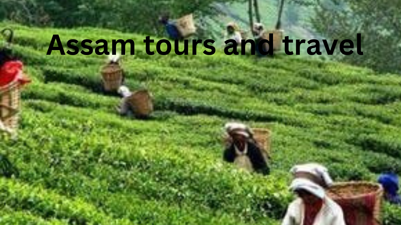 Assam tours and travel